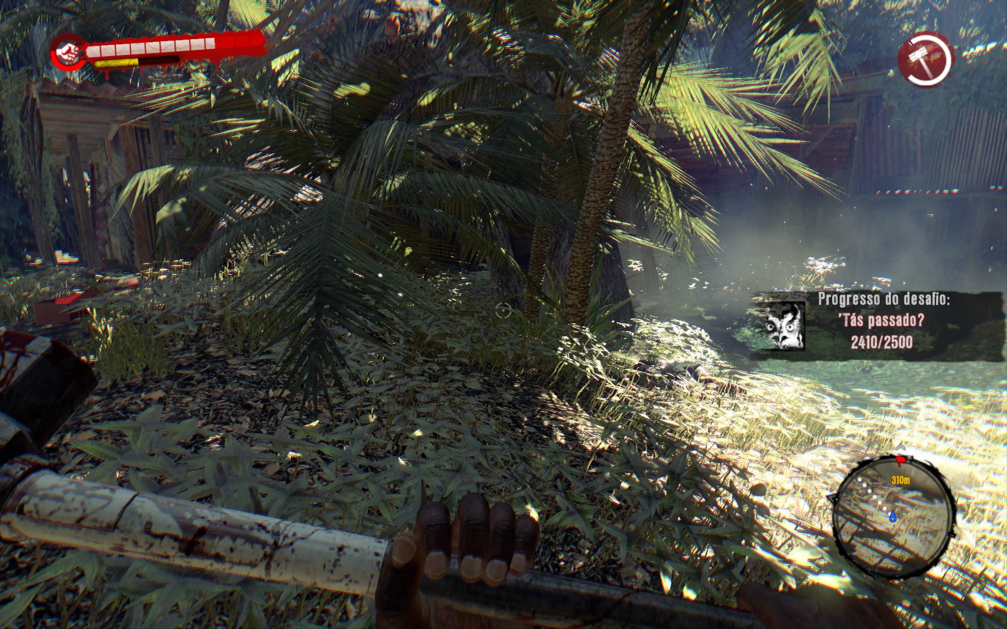 Captura 13